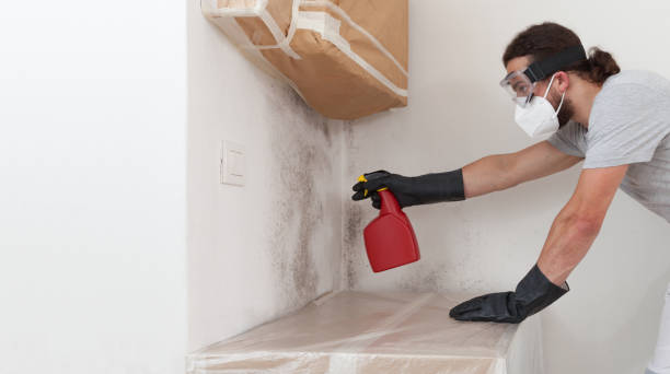 Professional Mold Testing technician working in Franktown, VA