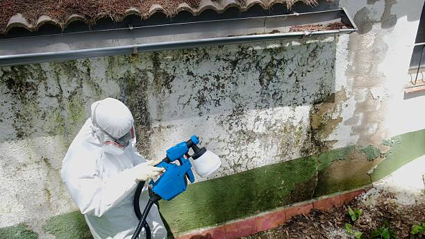 Trusted Mold Remediation service in Franktown, VA - Cheap Mold Removal